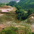 vietnam-sapa