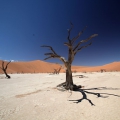 Namibie -sossusvlei-dead-valley