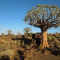 Namibie - seeheim cesta ráno