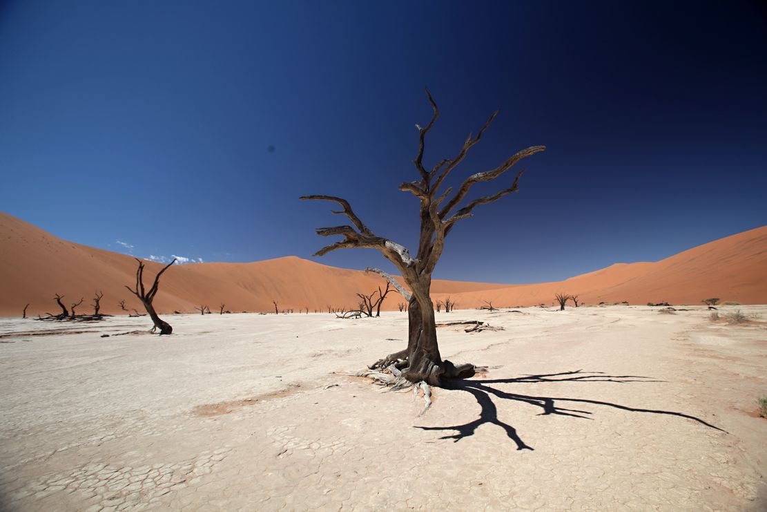 Namibie -sossusvlei-dead-valley